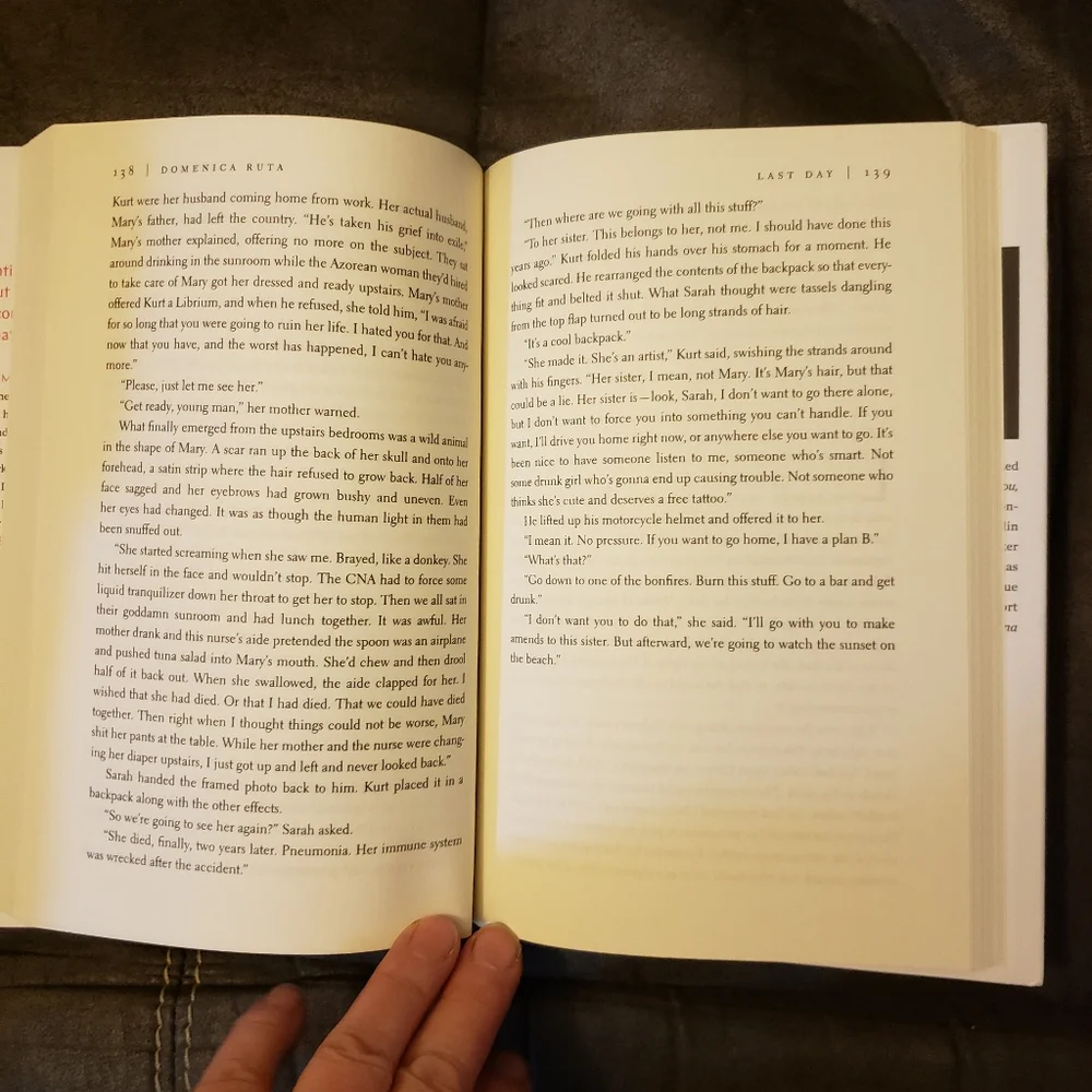 Last Day: A noval by Domenica Ruta‎   Hardcover